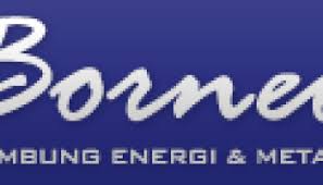 Anak Usaha Borneo Lumbung Energi and Metal Tbk (BORN) Hentikan Eksplorasi