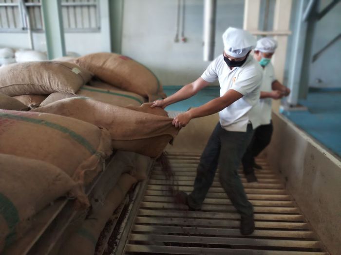 Cocoa Butter Kendari Masuk Pasar Belanda