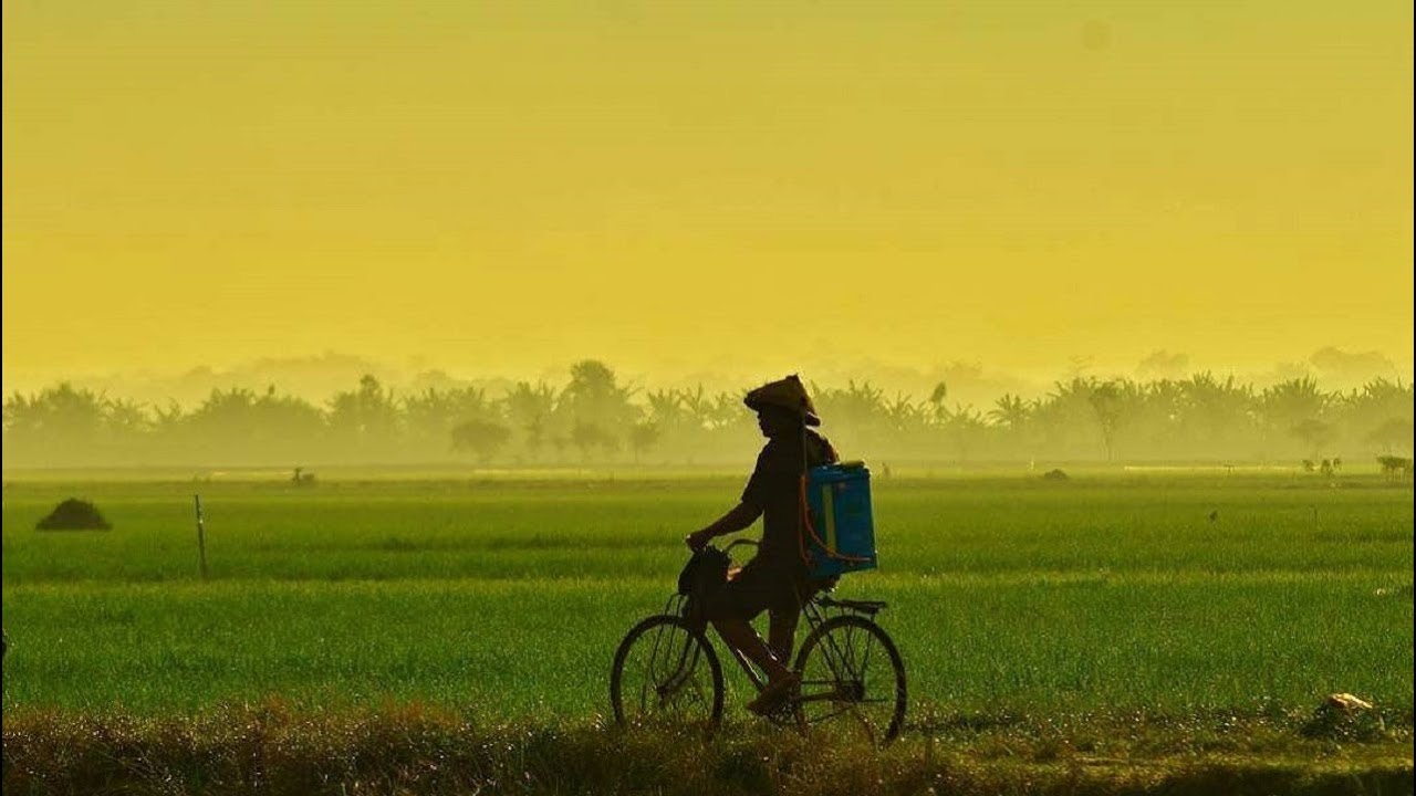 Klaim Kementerian Pertanian Benar tentang Surplus Stok Pangan Nasional                                                                           