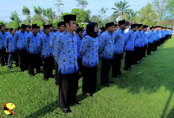 Ini Solusi Cespleng bagi para Pegawai Honorer untuk jadi Pegawai Pemerintah