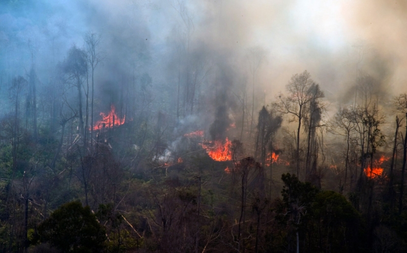 Ada Kecenderungan Kebakaran Hutan dan Lahan di Pelalawan Riau Disengaja