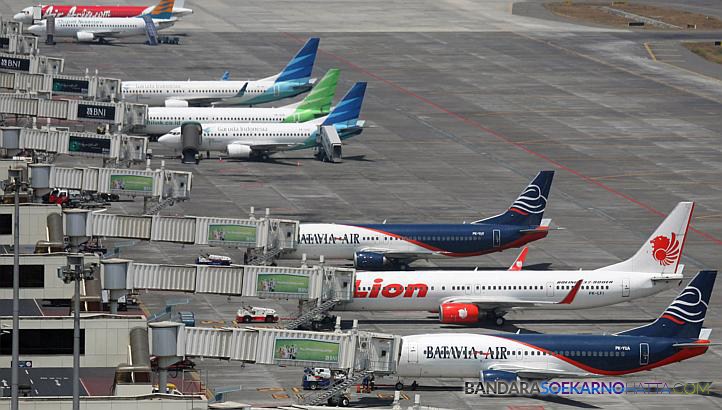 Tidak Mudah Menurunkan Tarif Batas Atas Tiket Pesawat