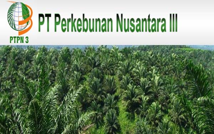 Setelah Presiden Tambah Modal Rp6,1 Triliun, Mari Berharap PTPN III Tingkatkan Kapasitas
