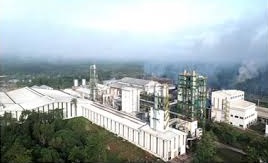 Listing 10 Desember, PT Indonesia Fibreboard Industry (IFI) Tawarkan Harga Perdana Rp105 Per Saham