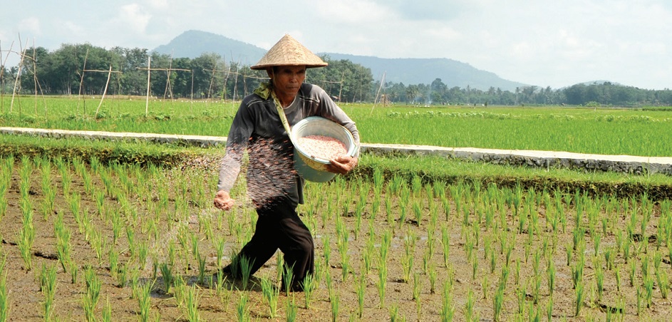 Saat Perekonomian Nasional Hadapi Resesi, Sektor Pertanian Masih Tumbuh Positif