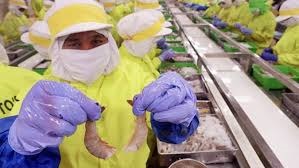 Lepas 25 Persen, Panca Mitra Multiperdana Tawarkan Harga IPO Rp336-450 per Saham. Ini Jadwal Pelaksanaannya