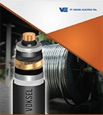 Penjualan Turun 27 Persen, Laba Voksel Electric (VOKS) Ambles 95,27 Persen di Kuartal III-2020