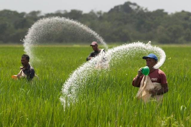 Musim Tanam Awal 2021, PT Pupuk Indonesia Siapkan Stok Pupuk Subsidi 1,25 Juta Ton