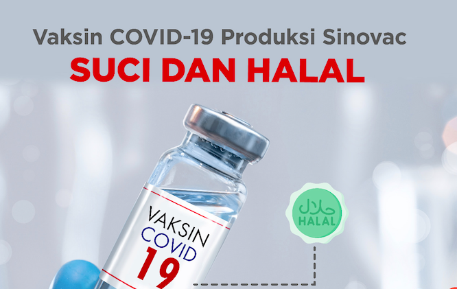 Fatwa MUI Vaksin Sinovac Asal China Suci dan Halal