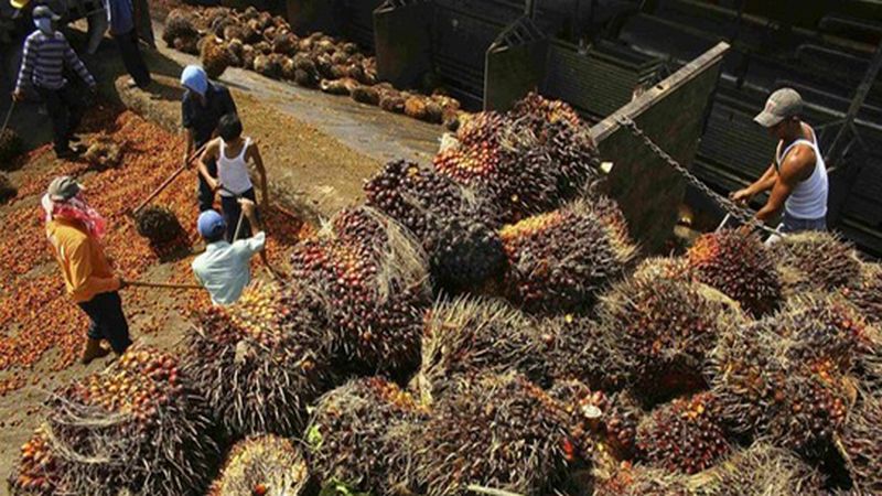 Bayar Utang, Tunas Baru Lampung (TBLA) Jajakan Obligasi Rp5,64 Triliun