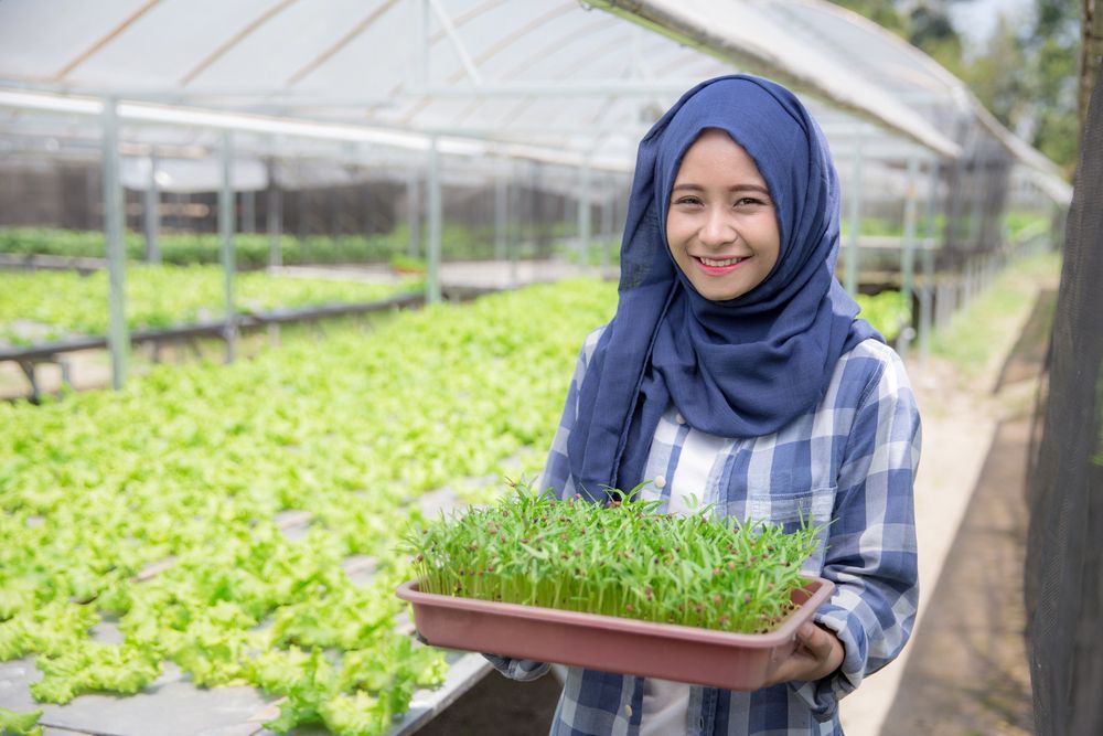 Ini Pesan Uu Kepada Petani, Jangan Lagi Jual Sawah ya…