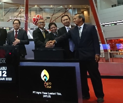 Keluar dari Efek Dalam Pemantauan Khusus, Saham Agro Yasa Lestari (AYLS) Mentok ARA