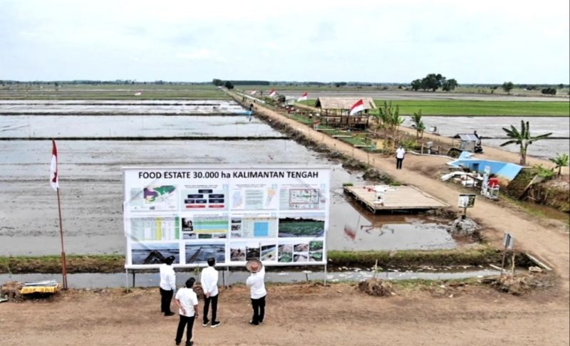 Kementan Dukung Pelatihan Pengembangan Korporasi di Food Estate