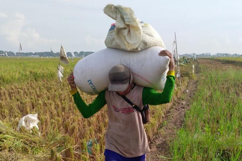 Nilai Tukar Petani Mei 2022 Turun 2,81 Persen