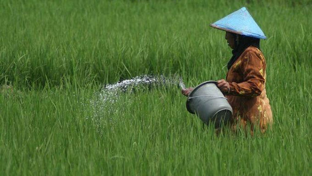 Nigeria Tertarik Dapatkan Suplemen Pertanian dari Indonesia