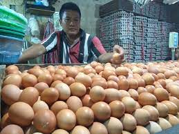Pedagang telur ayam. dok. medcom..jpg Harga Daging dan Telur Ayam Mahal, Peternak Tuding Penyebabnya Rantai Distribusi Panjang