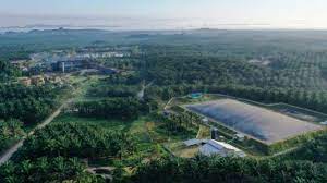 Eagle High Plantations (BWPT) Anggarkan Capex Rp200 M di 2023, Ini Peruntukannya