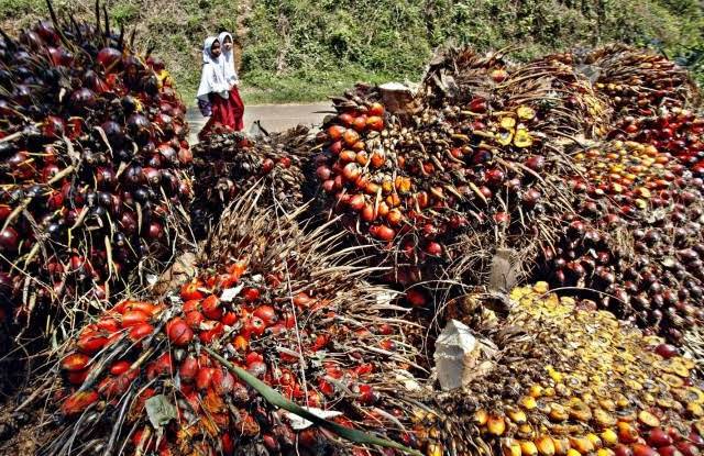 Tambah Porsi, Anargya Superfund Equity Serok 84,68 Juta Saham Bakrie Plantations (UNSP)