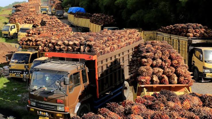 Kembangkan Bursa Komoditas, Pemerintah-Swasta Sepakat RI jadi Acuan Harga CPO Global