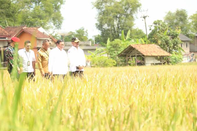 Persediaan Air Melimpah, Mentan Canangkan Percepatan Tanam Usai Panen Raya