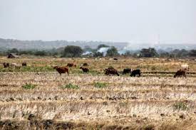 Perkuat Koordinasi Lintas Kementerian, Kemendag Antisipasi El Nino