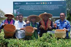 Lewat Digital Farming, BI Dukung Peningkatan Produksi Pangan Strategis di NTT