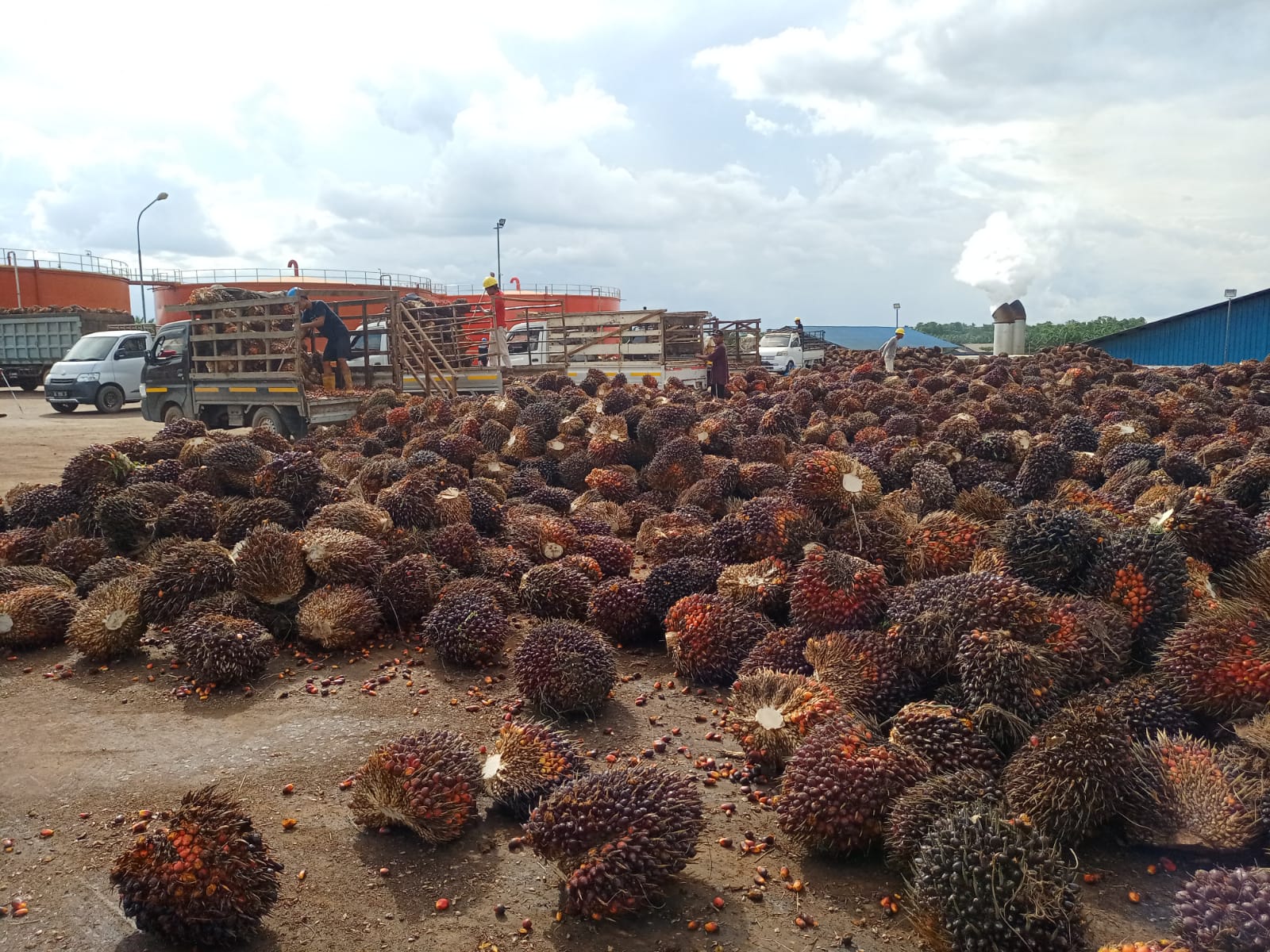 Bappebti Catat Transaksi 100 Ton pada Perdagangan Perdana Bursa Berjangka CPO