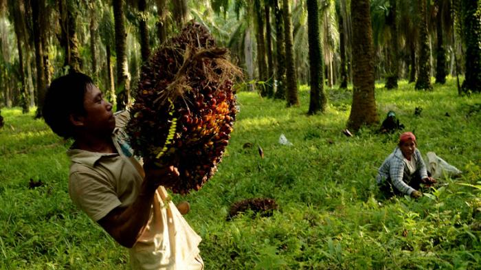 Tambah Dominasi, Pengendali Tunas Lampung Serok 23,84 Juta Saham TBLA