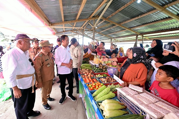 Presiden Dorong Masyarakat Manfaatkan Ragam Skema Pembiayaan