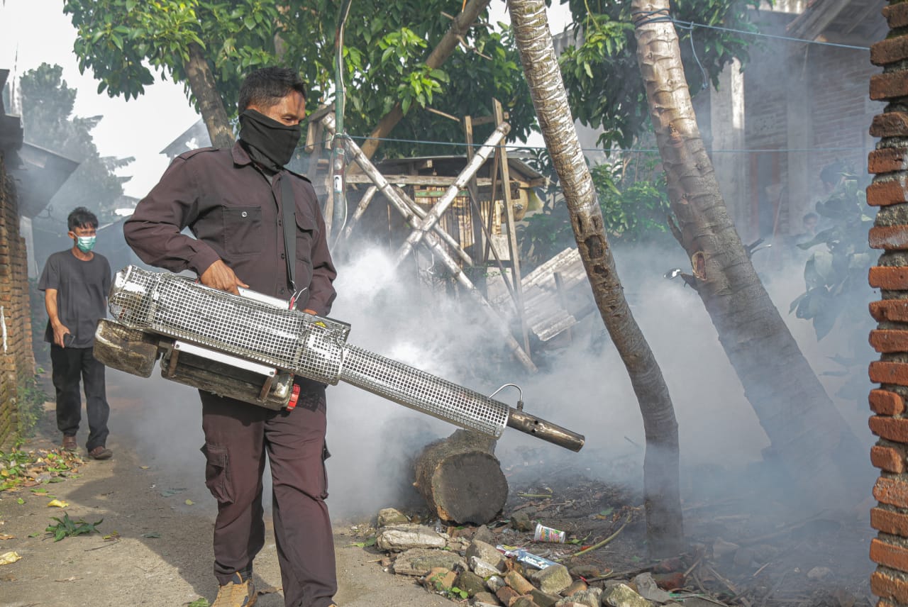 Waspadalah! Maret 2024, Kasus DBD Meningkat Dua Kali Lipat