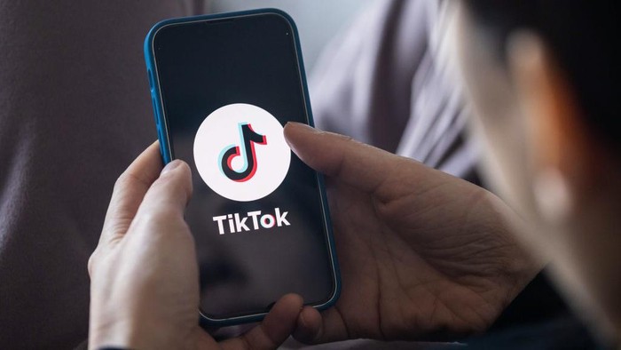 Ombudsman Minta Pemerintah Pastikan TikTok tidak Langgar Aturan