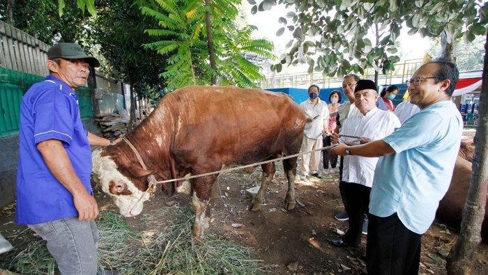 Gereja Katedral Hadiahkan Satu Sapi ke Masjid Istiqlal Jakarta