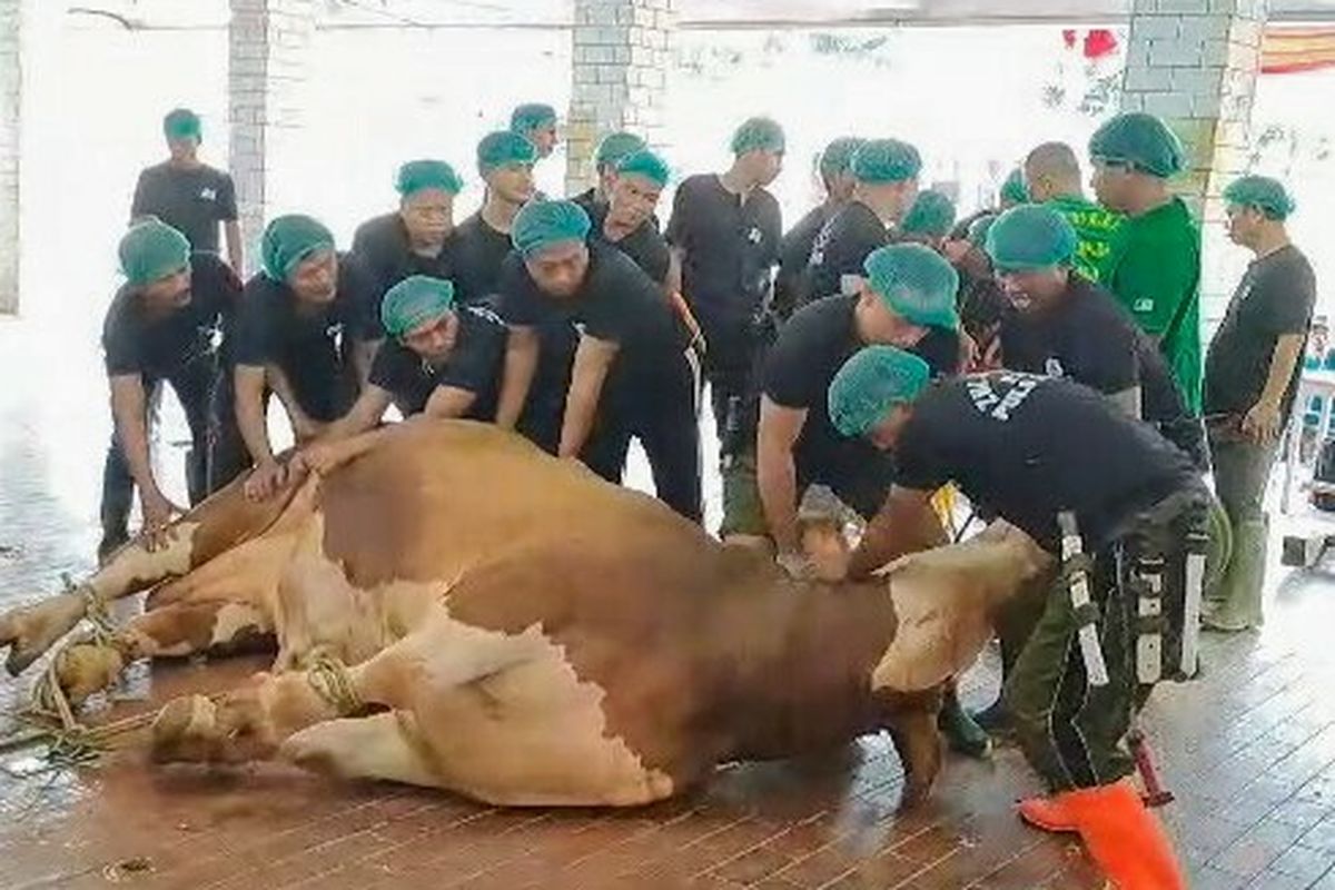 Salurkan Daging Kurban, Masjid Istiqlal Jemput Bola ke Masyarakat