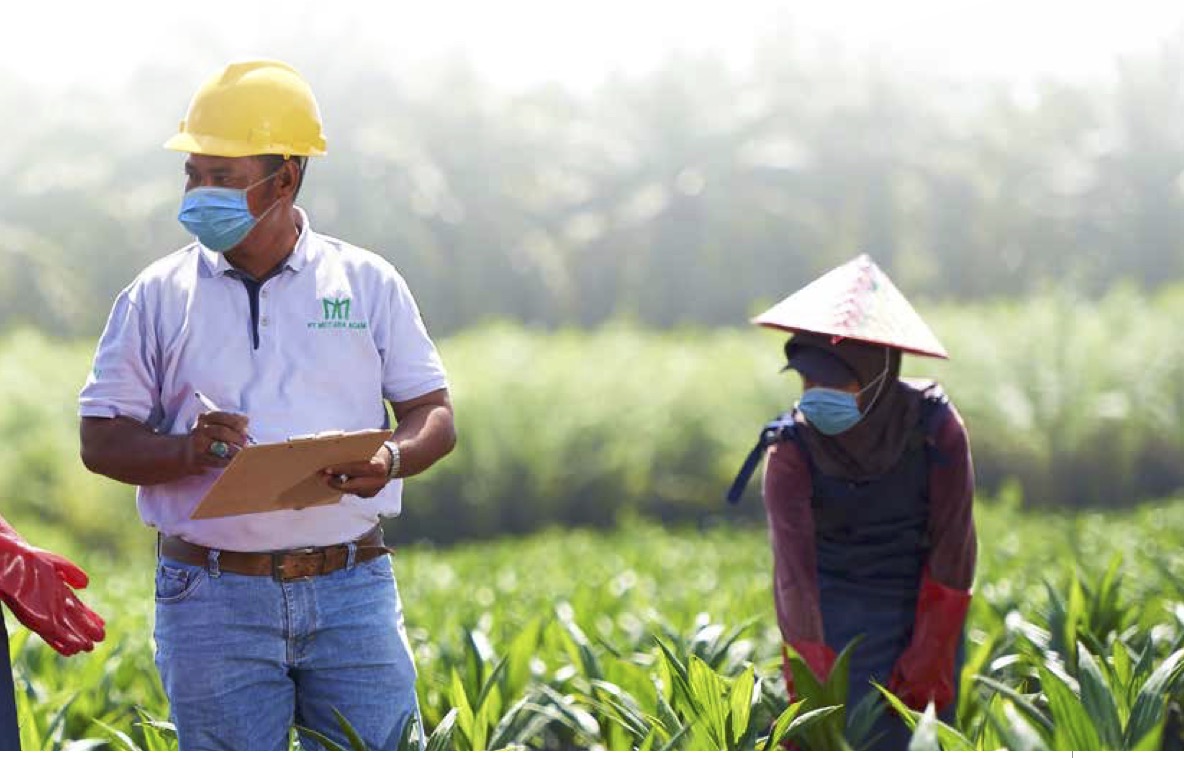 Buang MDKA, Boy Thohir Serok 373,75 Juta Saham PALM 