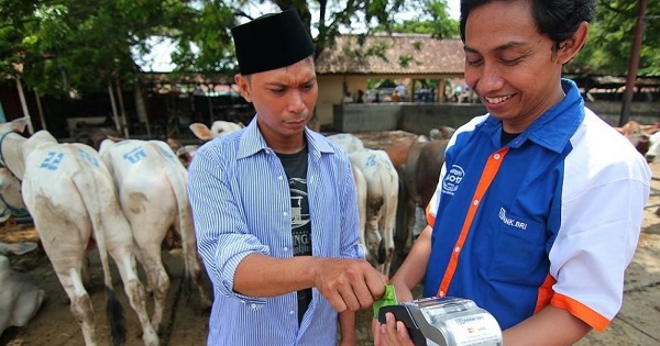 Target KUR 2025 Naik Menjadi Rp300 Triliun