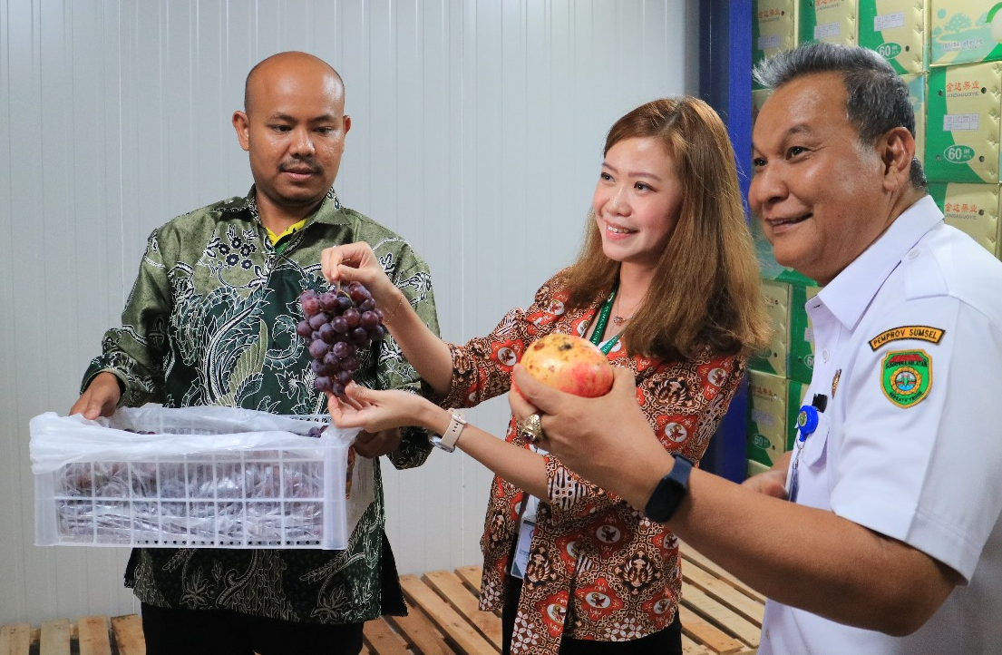 BUAH Sewa Gudang Pendingin Rp1,2 M, Intip Tujuannya