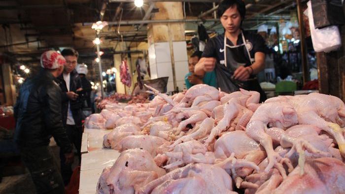 Pasokan Daging Ayam Hingga Idulfitri Aman; Tercukupi dari DN