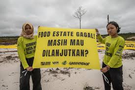 Program Food Estate Gagal, Mentan Ungkap Penyebab Utamanya