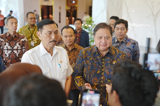 Luhut Usulkan Dibentuk Tim untuk Kaji Penghambat Investasi