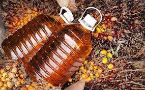 Ilustrasi pemerintah menaikkan tarif pungutan ekspor (PE) minyak kelapa sawit atau crude palm oil (CPO) dan produk turunannya dari 7,5% menjadi 10%. Dok. Gapki. Pungutan Ekspor CPO Jadi 10 Persen, Sangat Mengejutkan Petani Sawit