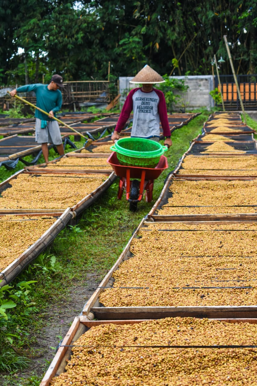 Dalam event akbar World of Coffee Jakarta 2025, Koro Roasters hadir dengan semangat baru mengenalkan kopi Indonesia kepada dunia lewat pendekatan yang lebih segar, lebih berani, dan lebih relevan. New Wave Kopi: Inovasi dan Tradisi dalam Secangkir Kopi