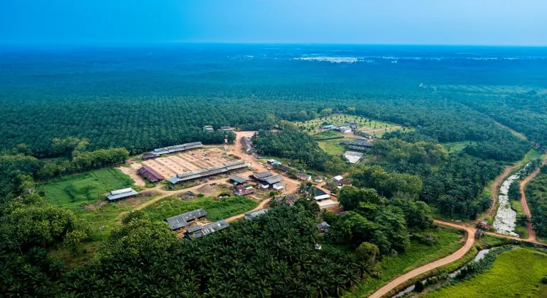 Salah satu pabrik crude Palm Oil besutan Pulau Subur. FOTO - ISTIMEWA Pulau Subur (PTPS) Salurkan Dividen Rp3,8 per Helai, Intip Jadwalnya