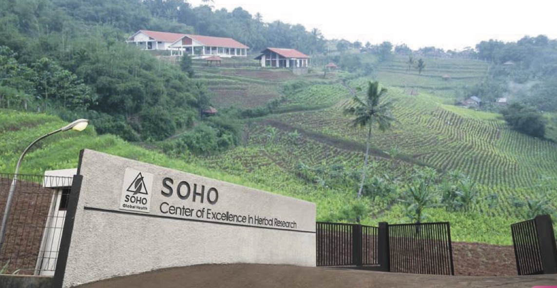 Area sekitar Soho Global tampak asri. FOTO - ISTIMEWA Lego Saham AstraZeneca, Ini Raihan Dana SOHO