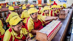Sejumlah pekerja di pabrik rokok milik HMSP HM Sampoerna (HMSP) Gelontorkan Dividen Rp6,53T, Ini Jadwalnya!
