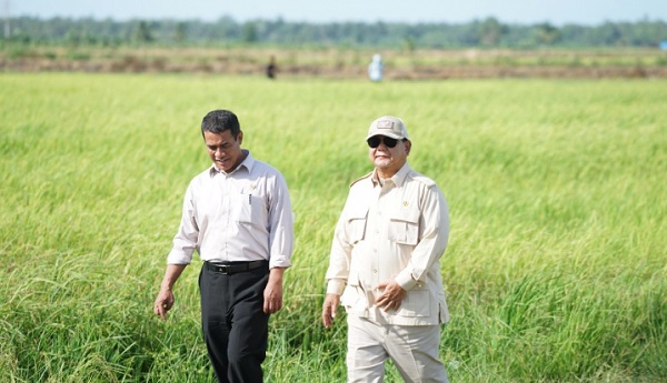 Menteri Pertanian (Mentan) Andi Amran Sulaiman mengungkapkan stok cadangan beras pemerintah (CBP) hingga akhir Mei 2025 tembus angka 4 juta ton. Ini merupakan pencapaian tertinggi sejak Bulog berdiri pada 1969. Wow! Cadangan Beras Tembus 4 Juta Ton, Tertinggi Sejak 1969