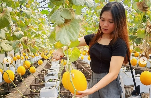 Sektor industri agro secara keseluruhan, yang mencakup industri mamin, telah menyerap tenaga kerja hingga 9,37 juta orang sepanjang 2024. Industri Agro Serap 9,37 Juta Tenaga Kerja di 2024