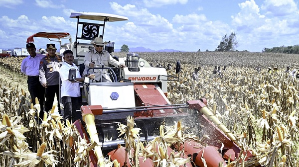 Presiden Prabowo Subianto melakukan Panen Raya Jagung Serentak Kuartal II di 36 Polda se-Indonesia yang dipusatkan di Kabupaten Bengkayang, Kalimantan Barat, pada Kamis, 5 Juni 2025. (Foto: BPMI Setpres) Presiden: Saya Tak Akan Tenang Sebelum Indonesia Swasembada Pangan
