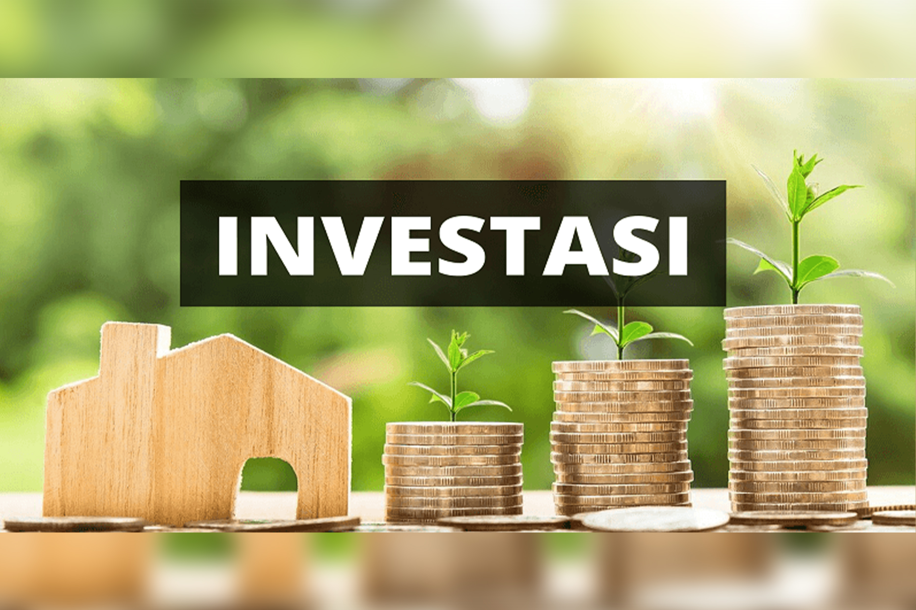 ilustrasi investasi. Dok/Istimewa Pelajaran Sederhana dari Krisis dan Euforia Untuk Investor Muda
