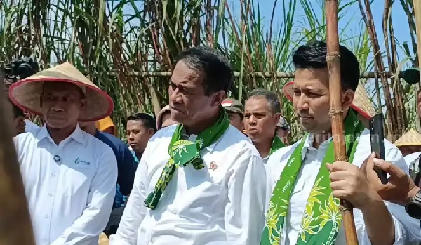 Menteri Pertanian (Mentan) Andi Amran Sulaiman mendorong seluruh pemangku kepentingan (stakeholder) di sektor perkebunan khususnya tebu untuk bergerak secara eksponensial dalam meningkatkan produksi gula nasional. Sukses Genjot Produksi Beras dan Jagung, Mentan Kini Benahi Tebu