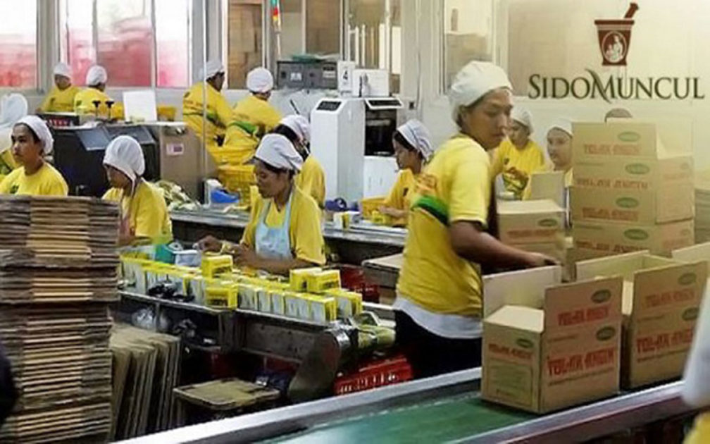 Salah satu kegiatan usaha di pabrik SIDO. Sido Muncul (SIDO) Ungkap Aksi Buyback